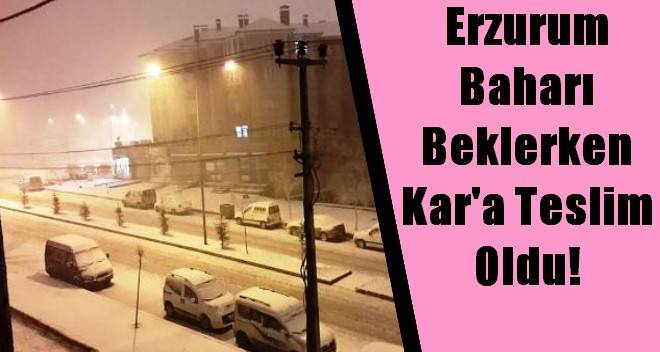 Erzurum Baharı Beklerken Kar`a Teslim Oldu!